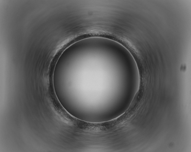X0000093090488200709261232