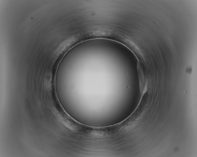 X0000093090490200709261232