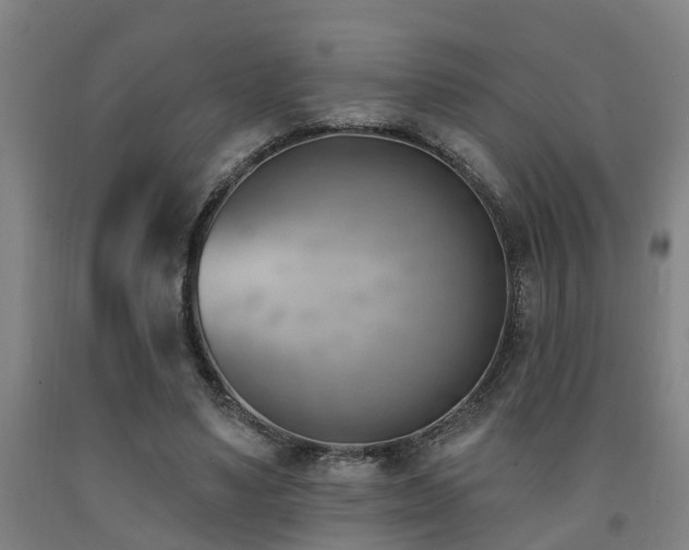 X0000093090491200709261232