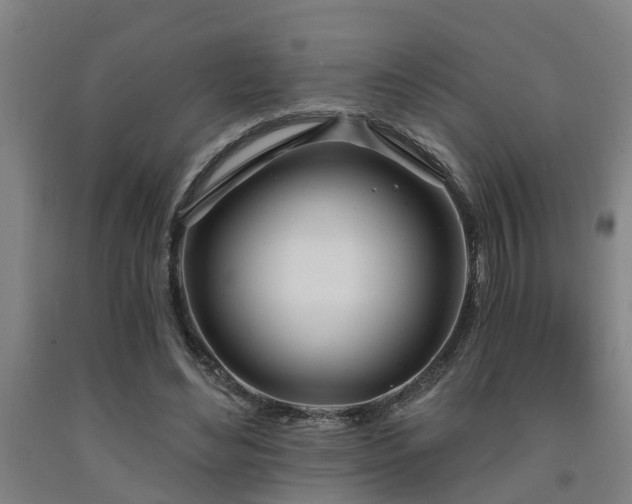 X0000093090492200709261232