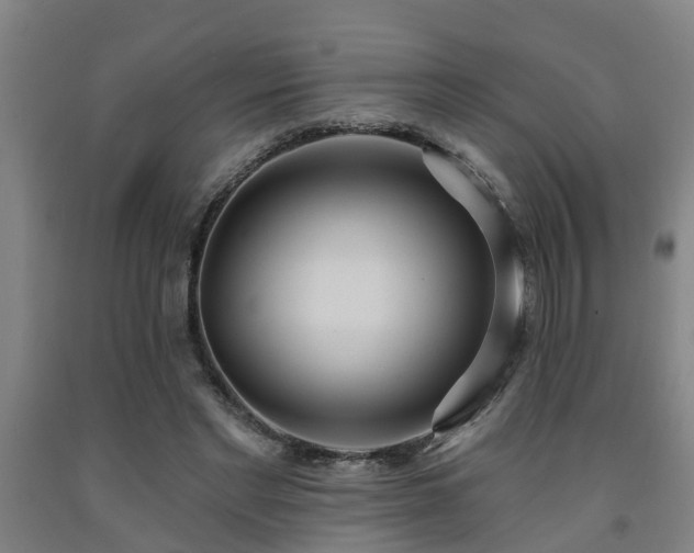 X0000093090493200709261232