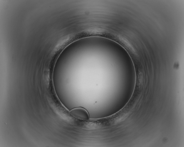 X0000093090494200709261232