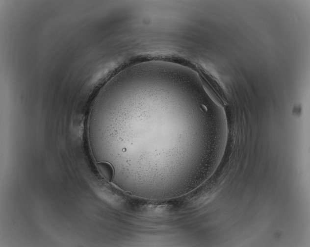 X0000093090495200709261232