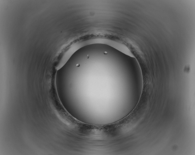 X0000093090496200709261232