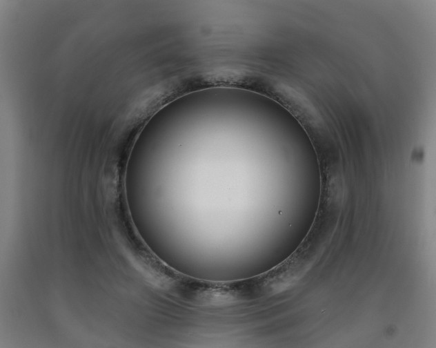 X0000093090498200709261232