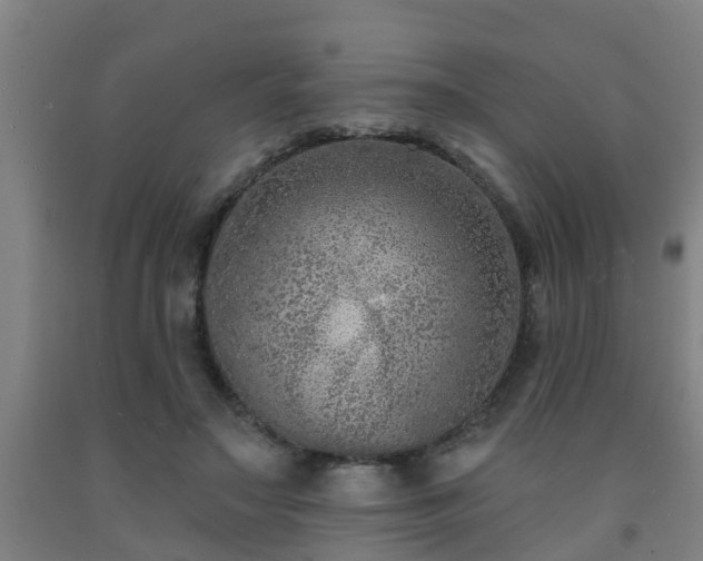 X0000093090499200709261232