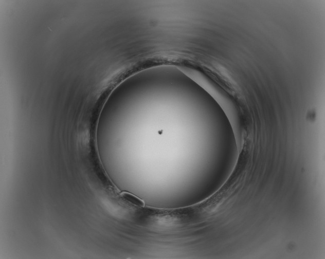 X0000093090500200709261232