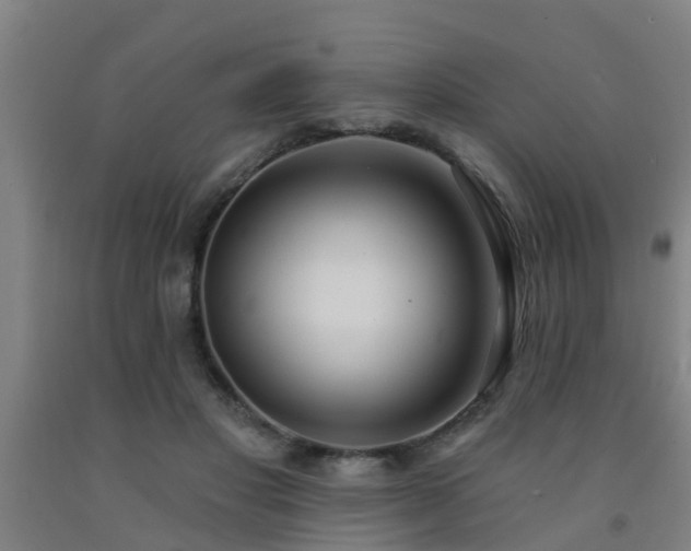 X0000093090501200709261232