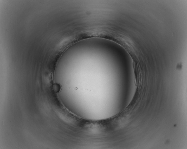 X0000093090503200709261232