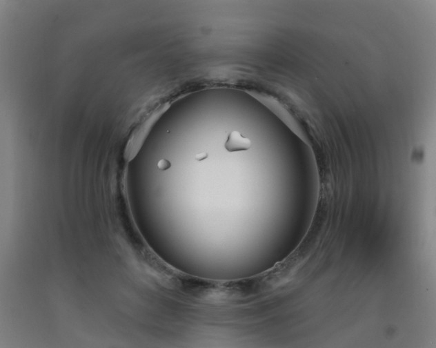 X0000093090504200709261232