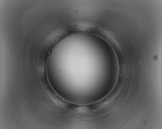 X0000093090505200709261232