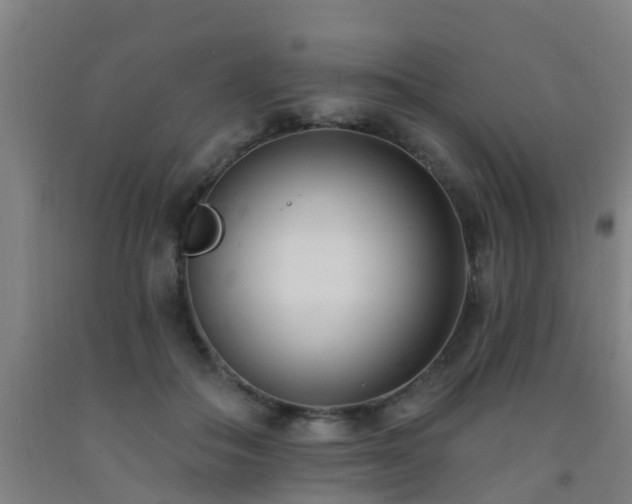 X0000093090506200709261232