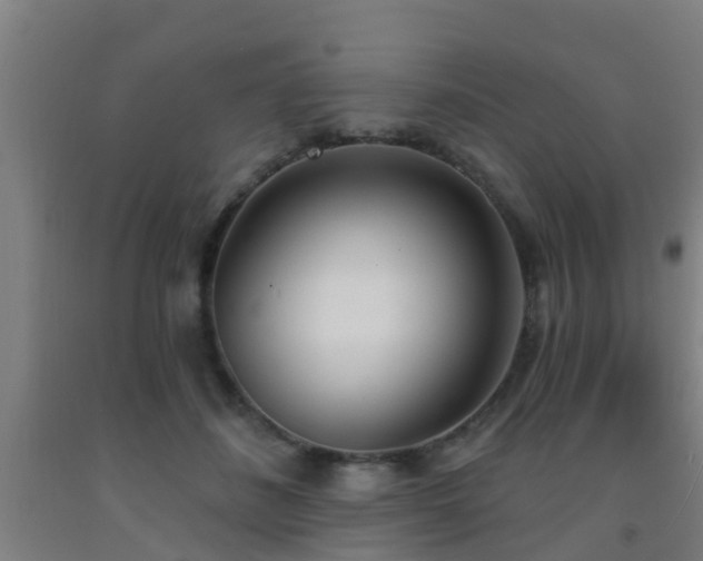 X0000093090508200709261232
