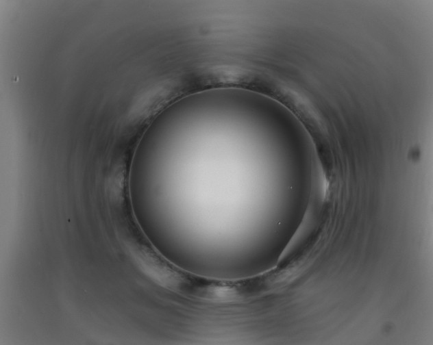 X0000093090509200709261232
