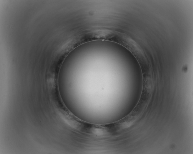 X0000093090510200709261232
