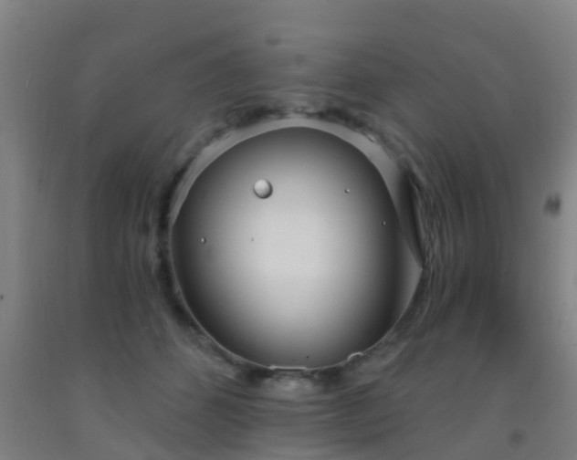X0000093090512200709261232