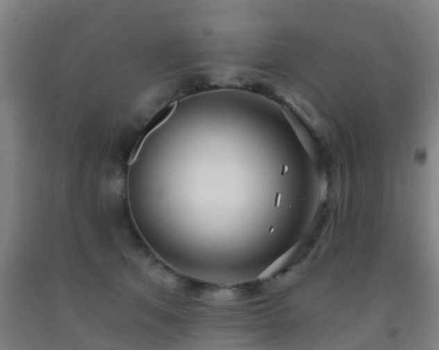 X0000093090513200709261232
