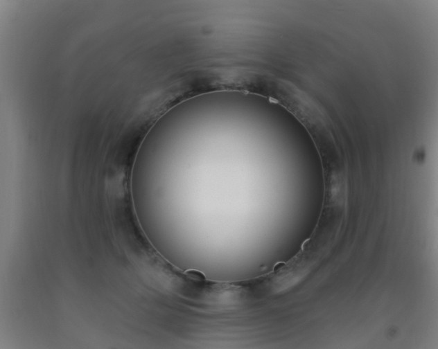 X0000093090514200709261232