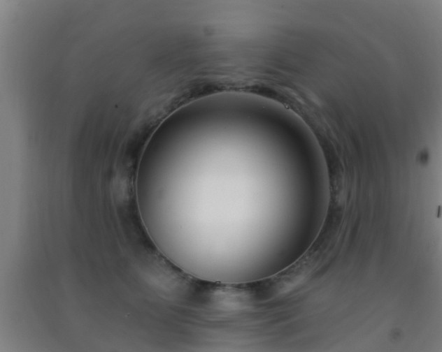 X0000093090515200709261232