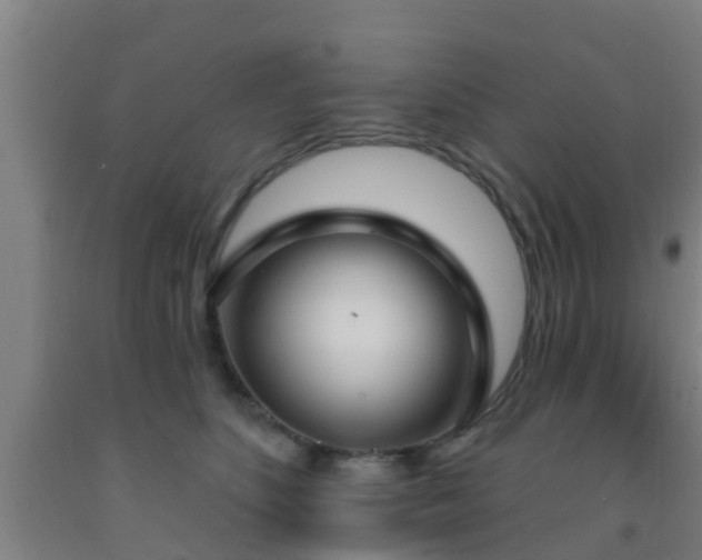 X0000093090516200709261231