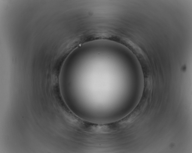 X0000093090517200709261231