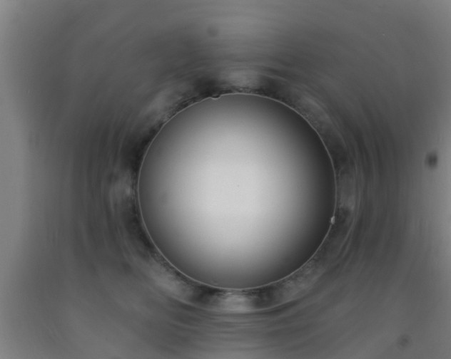 X0000093090518200709261231