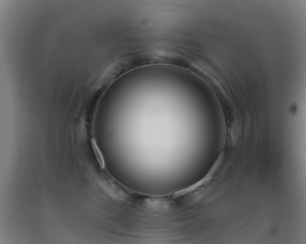 X0000093090520200709261231