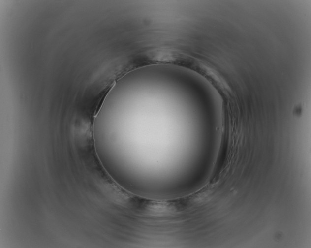 X0000093090521200709261231