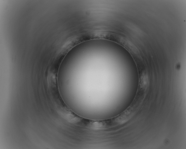X0000093090522200709261231