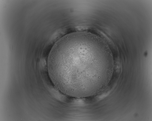 X0000093090523200709261231