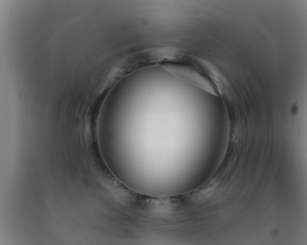 X0000093090524200709261231