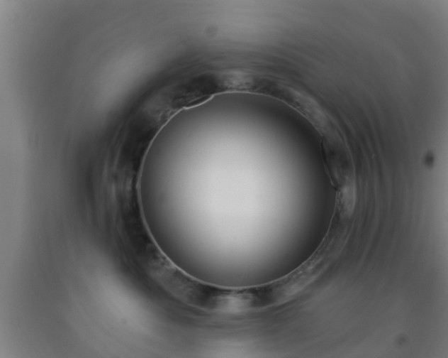 X0000093090525200709261231