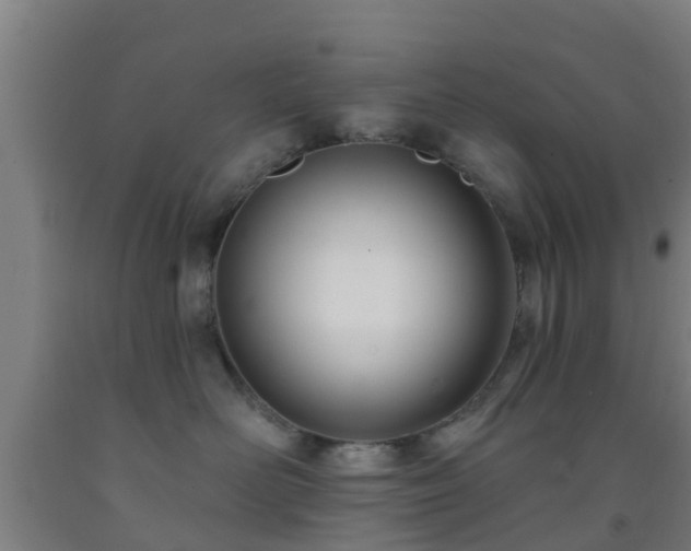 X0000093090526200709261231
