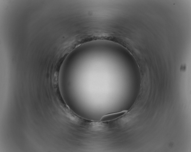 X0000093090528200709261231