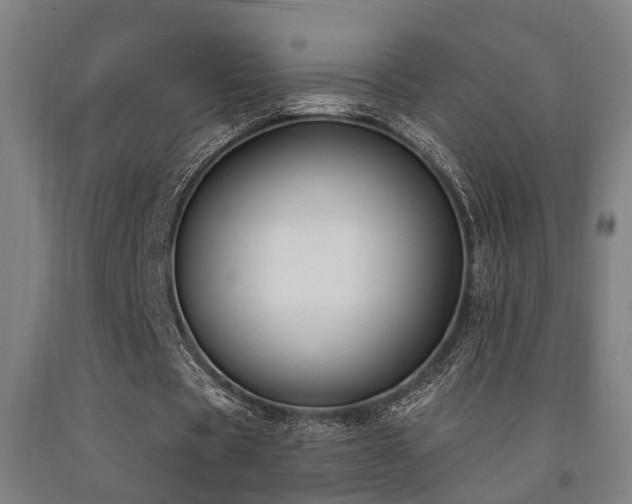 X0000093090529200709261231