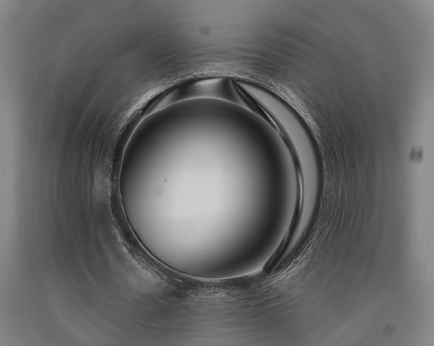 X0000093090530200709261231