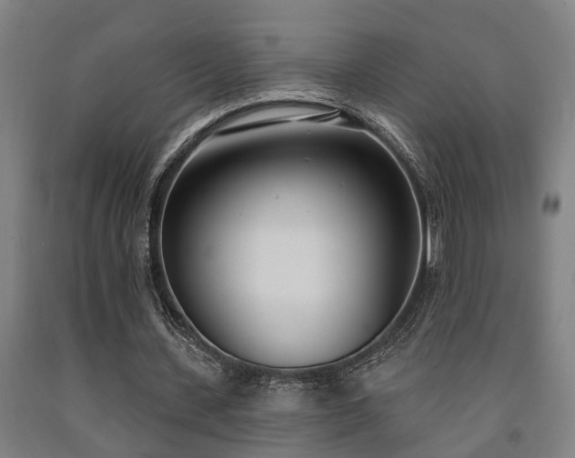 X0000093090531200709261231