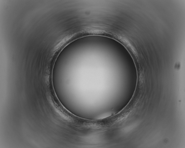 X0000093090533200709261231