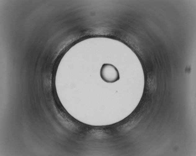 X0000093090534200709261231
