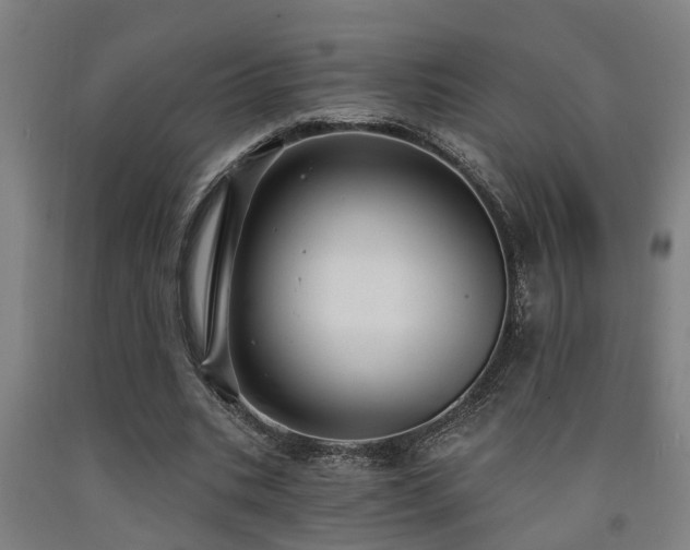 X0000093090535200709261231