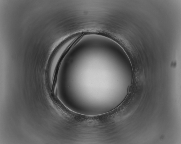 X0000093090536200709261231