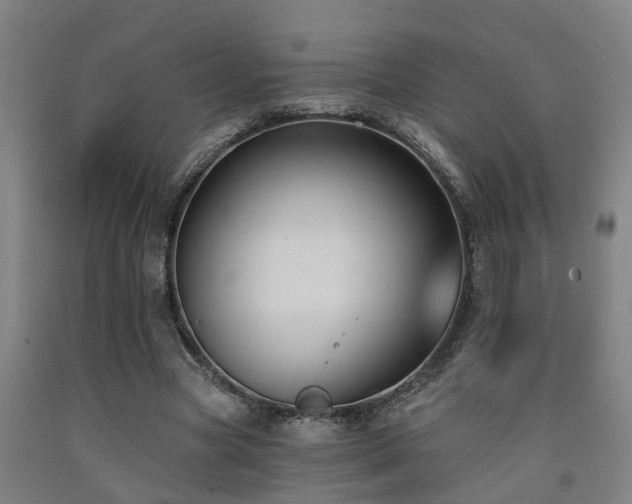 X0000093090537200709261231