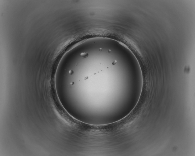X0000093090538200709261231