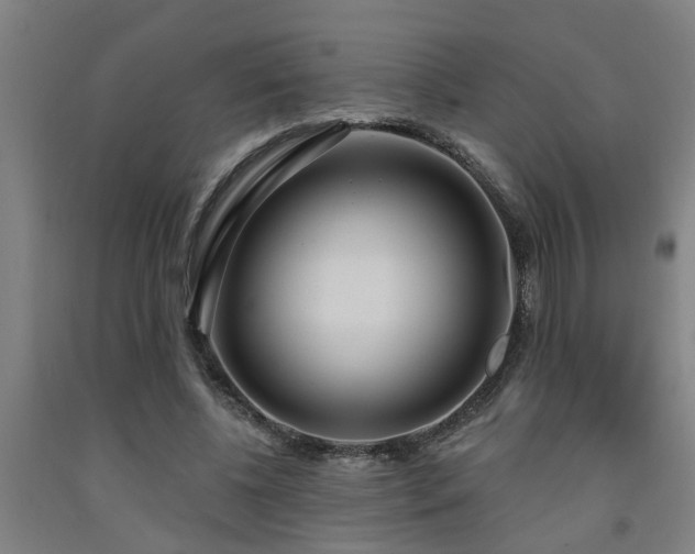 X0000093090540200709261231