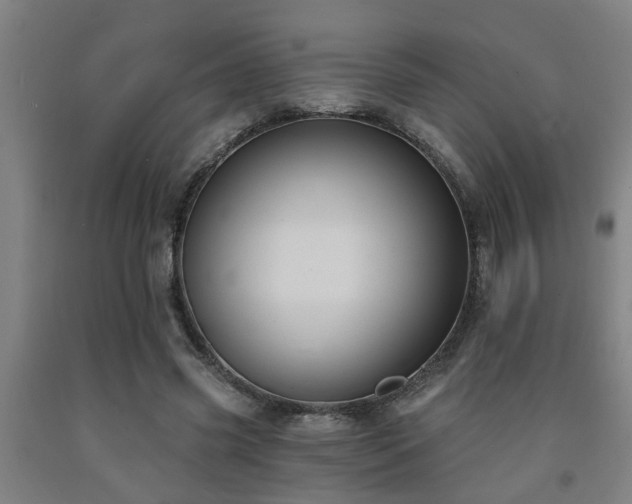 X0000093090541200709261231