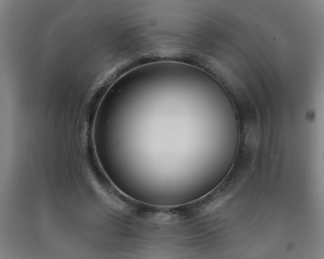 X0000093090542200709261231
