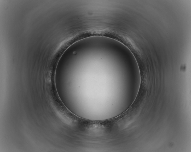X0000093090543200709261231