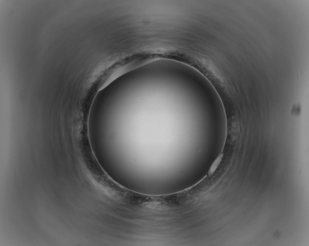 X0000093090544200709261231