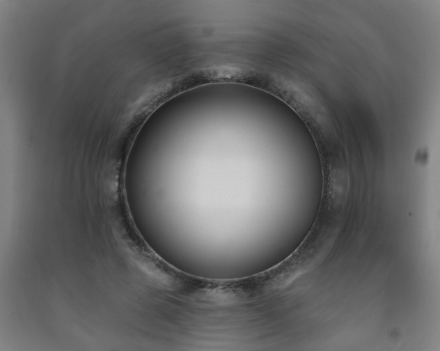 X0000093090545200709261231