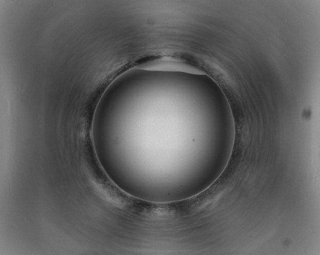 X0000093090546200709261231